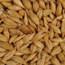 ARPALAR