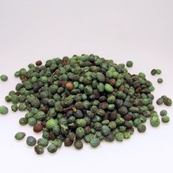 ÇEDENE
